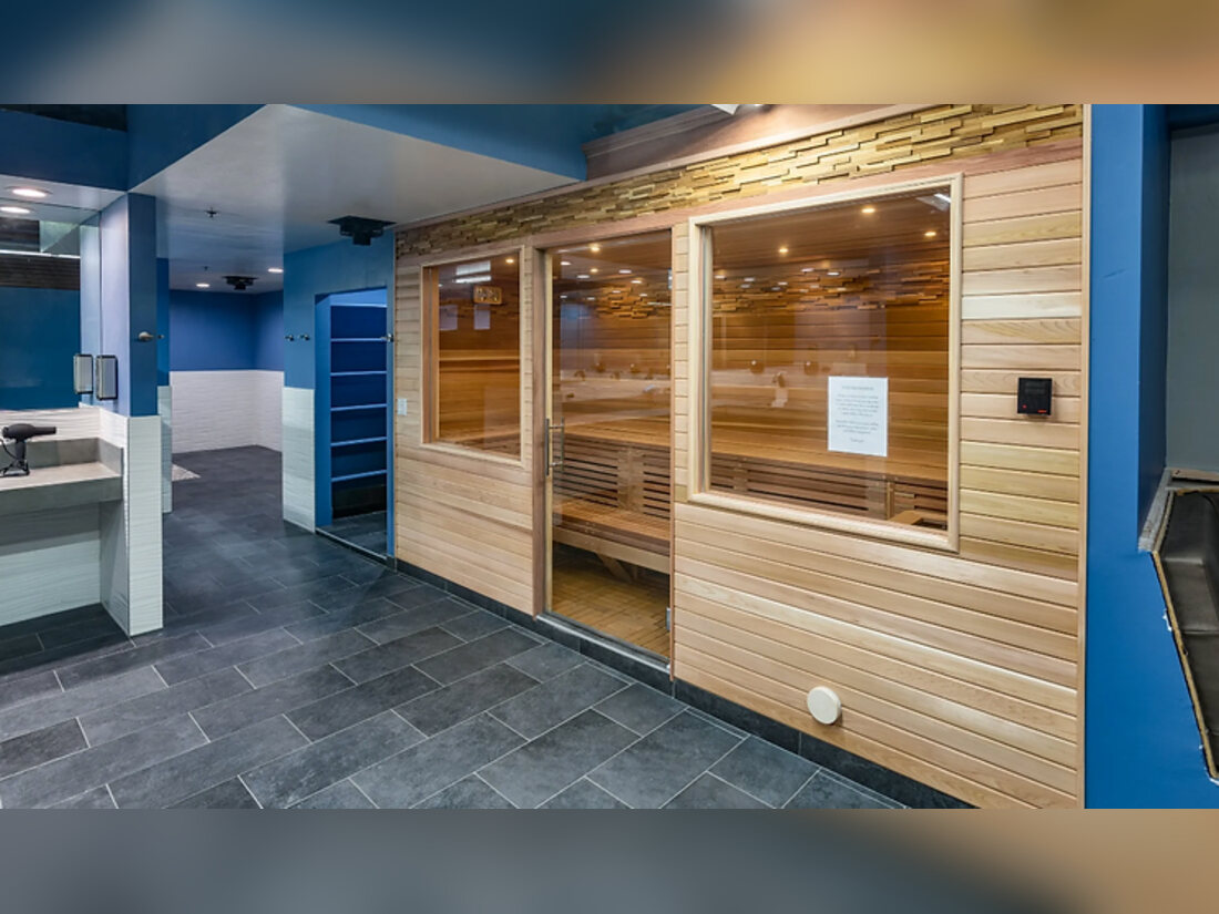 Wet and dry saunas