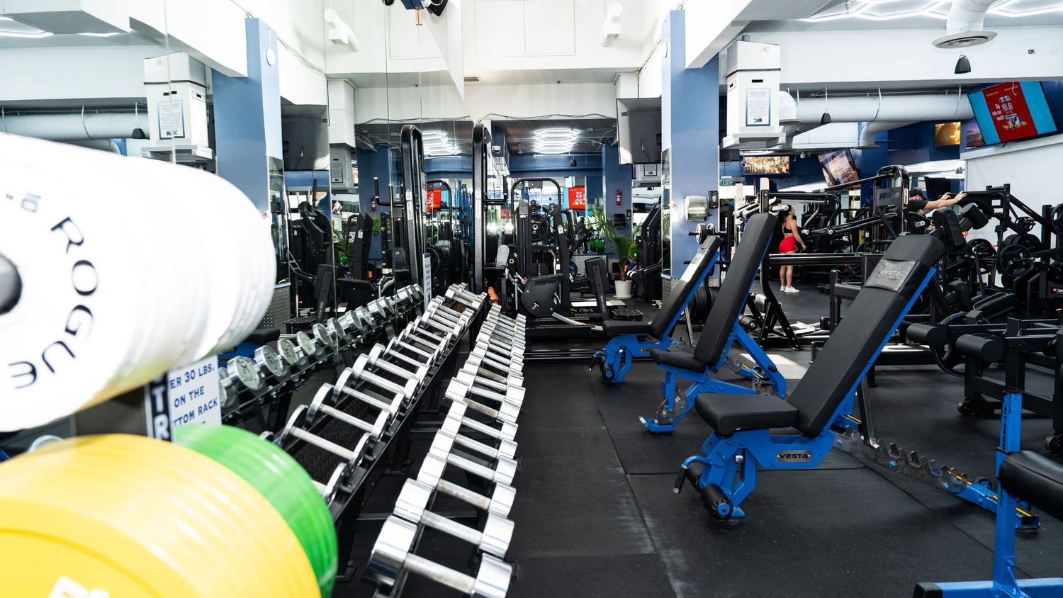 Free weights and benches