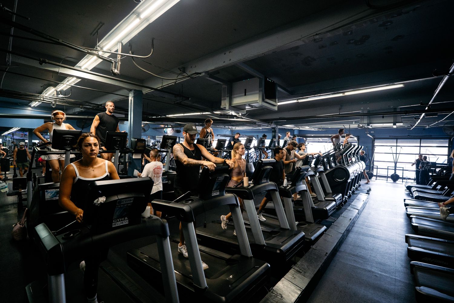 Cardio — treadmills