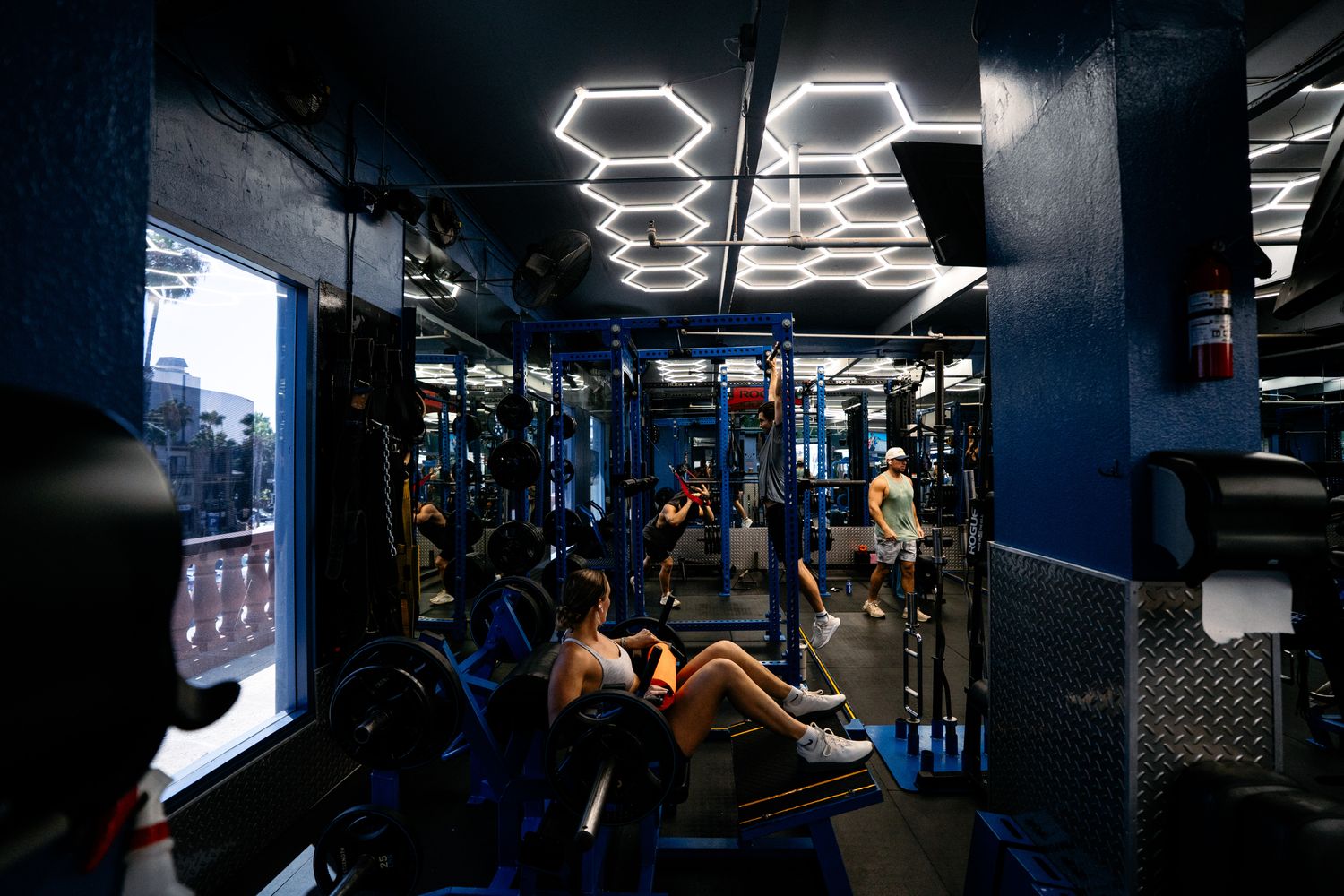 Machines and free weights
