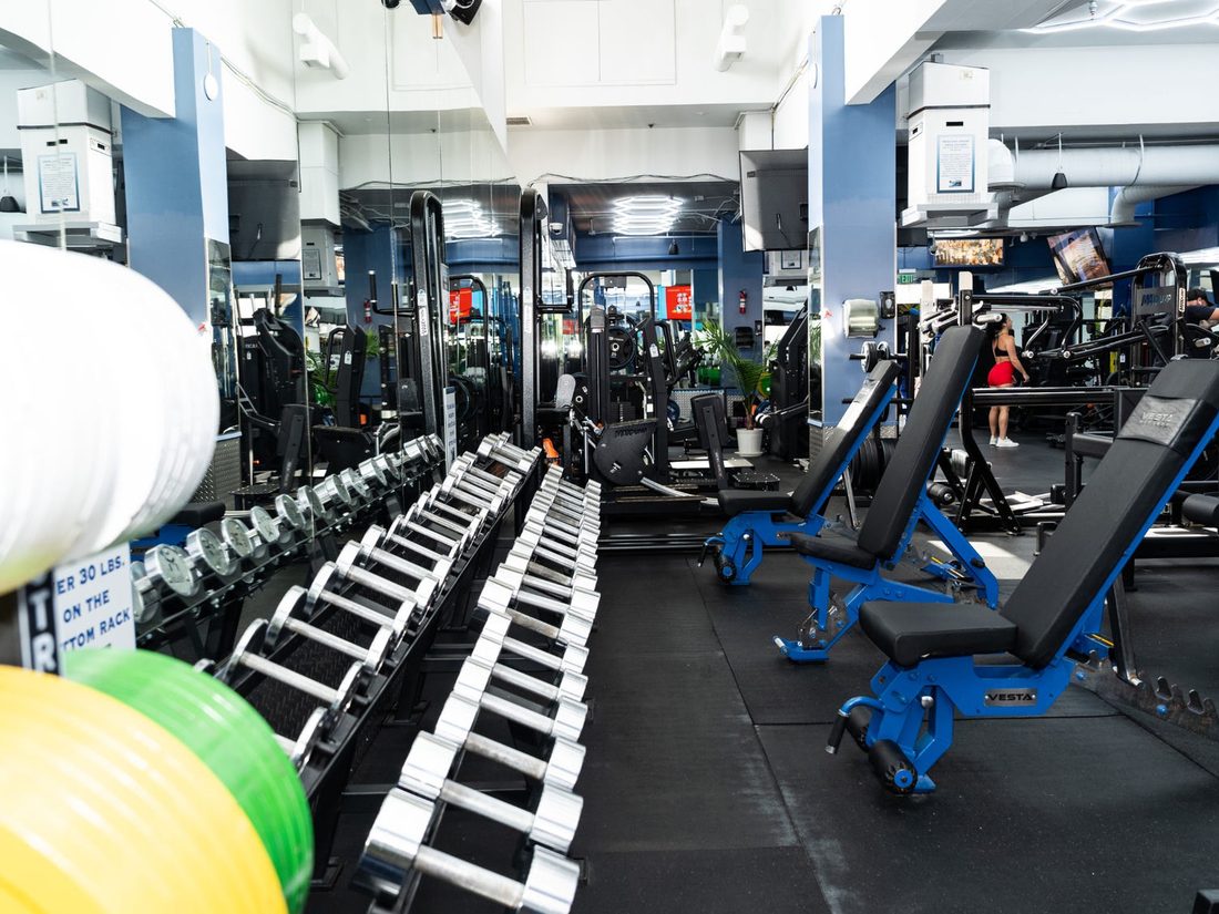 Free weights and dumbbells